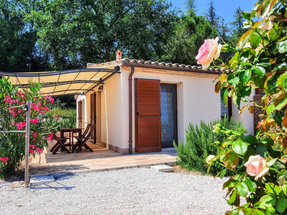 Agriturismo Rosa Antica Monte San Vito Bagian luar foto