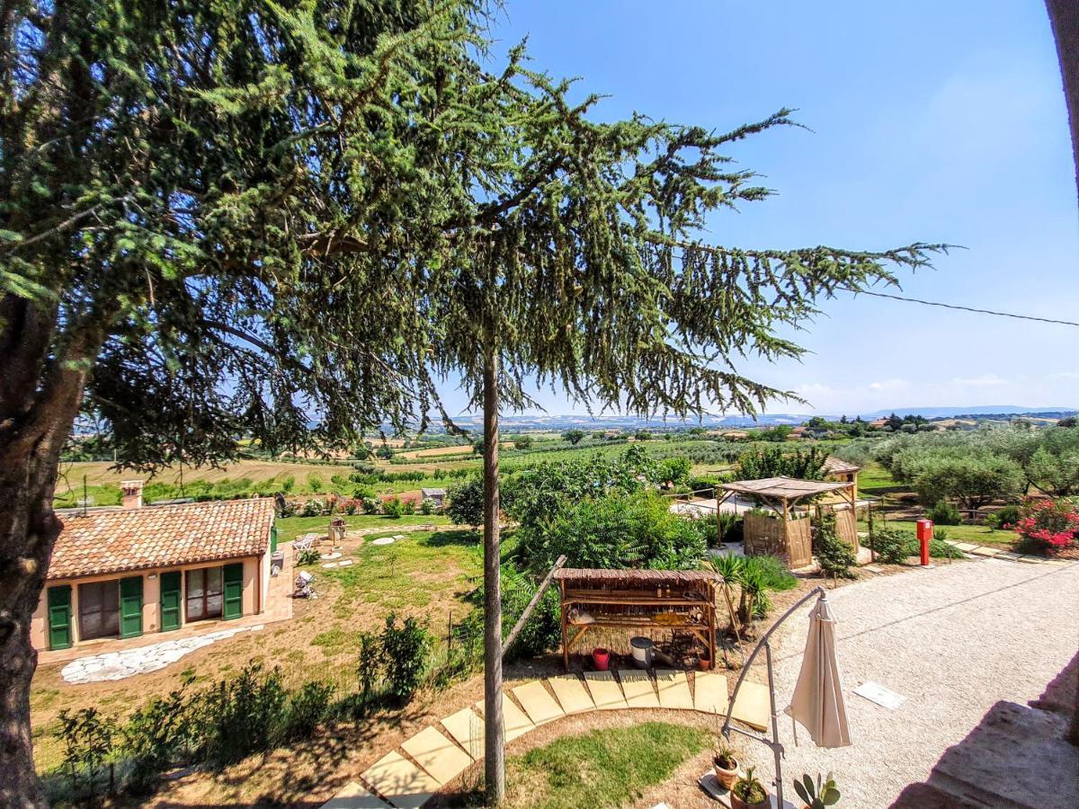 Agriturismo Rosa Antica Monte San Vito Bagian luar foto