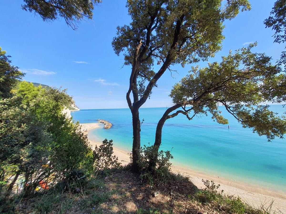 Agriturismo Rosa Antica Monte San Vito Bagian luar foto