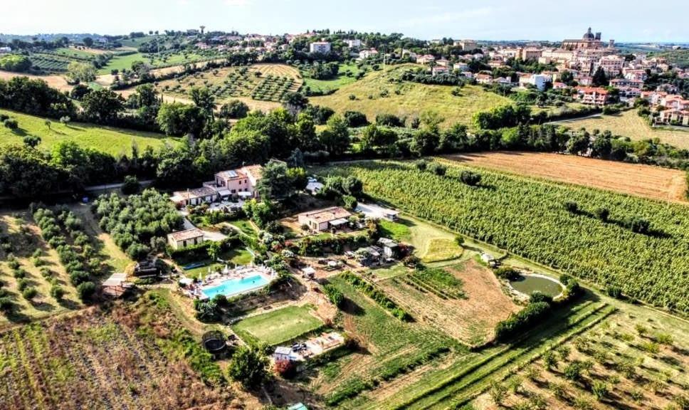 Agriturismo Rosa Antica Monte San Vito Bagian luar foto
