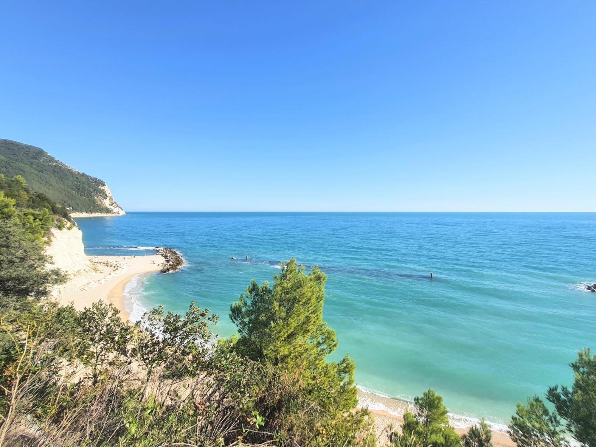 Agriturismo Rosa Antica Monte San Vito Bagian luar foto