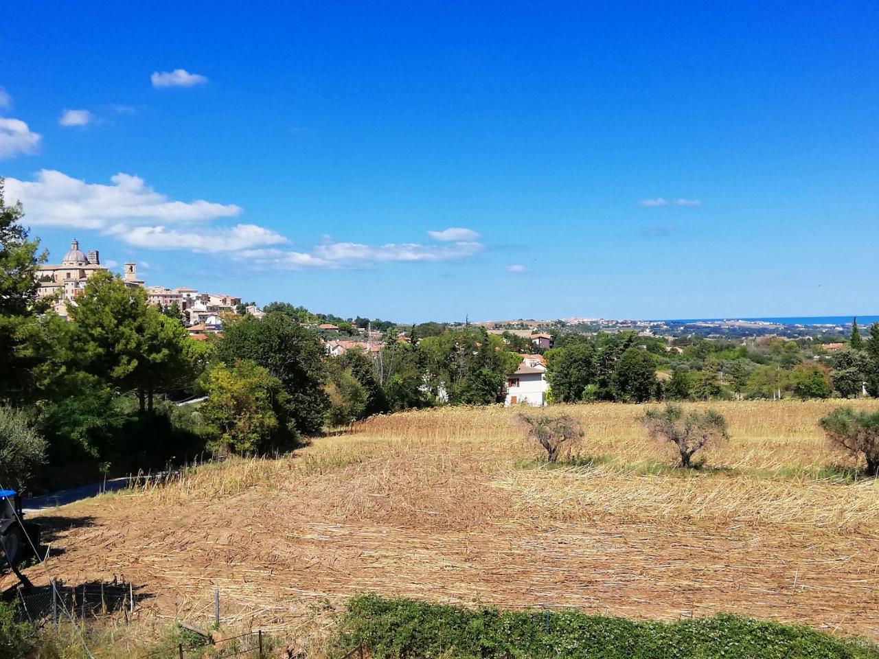 Agriturismo Rosa Antica Monte San Vito Bagian luar foto
