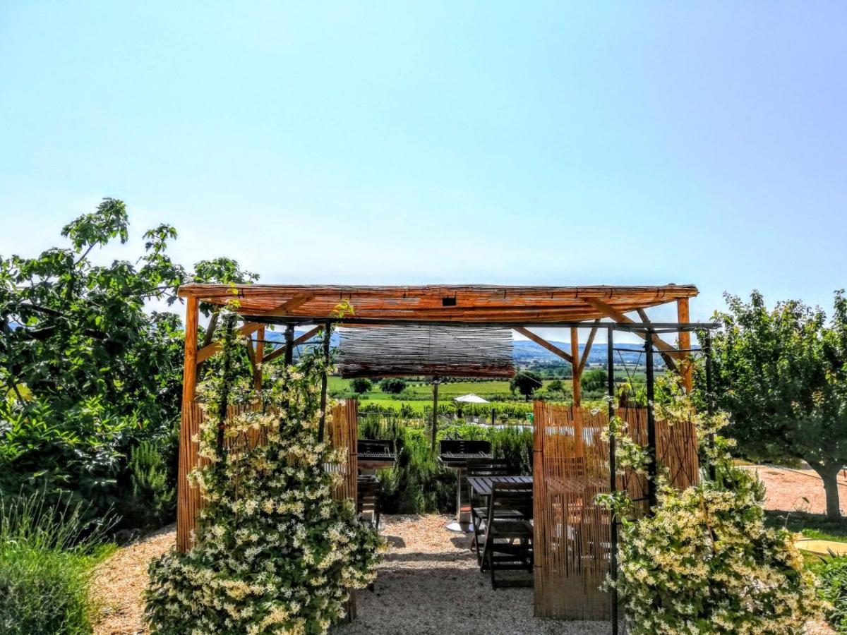Agriturismo Rosa Antica Monte San Vito Bagian luar foto