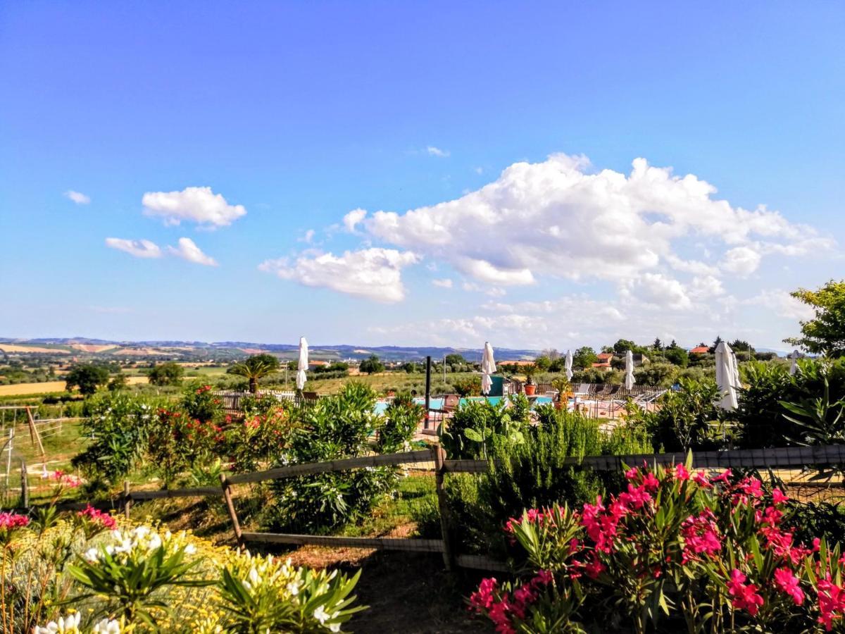 Agriturismo Rosa Antica Monte San Vito Bagian luar foto